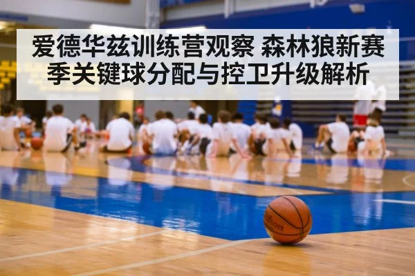 爱德华兹训练营观察 森林狼新赛季关键球分配与控卫升级解析