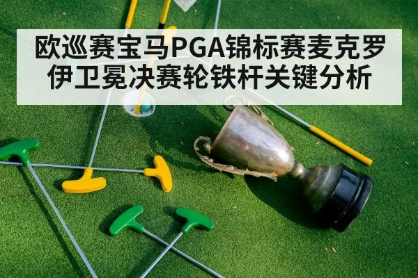 欧巡赛宝马PGA锦标赛麦克罗伊卫冕决赛轮铁杆关键分析 - kaiyun sports